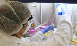 Criado manual de recomendações para frigoríficos