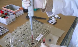 CRBM registra quase 6 mil infrações nas estradas gaúchas