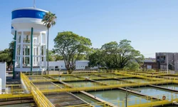 Google irá investir R$ 5 milhões em negócios geridos por negros no Brasil