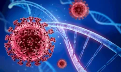 Uruguaiana confirma segunda morte por covid-19 nesta semana