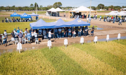 Grêmio começa a disputa da 31ª Copa Santiago de Futebol Juvenil
