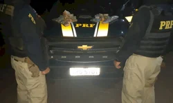 Servidores gravam vídeo em repúdio a declarações de Leite