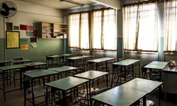 Professora Marisele lança livro voltado à alfabetização