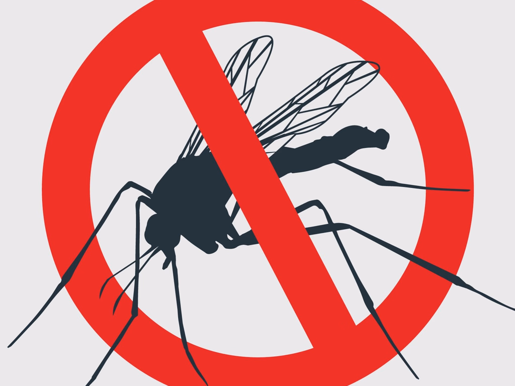 Mais dois casos de dengue