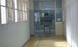 Nova variante é identificada no RS