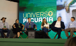 Universo Pecuária debaterá o papel da pecuária na economia verde