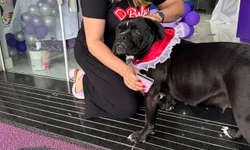 Mergulhadores de Uruguaiana auxiliam em buscas em Alegrete