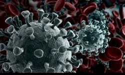 População faz fila para entrar na Caixa