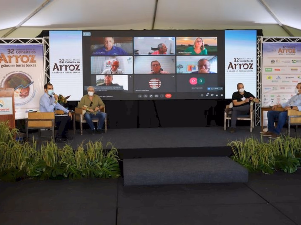 Custo de produção do arroz pode ultrapassar os R$ 90