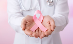 Indicadores da dengue seguem estáveis em dezembro