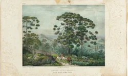 Município é contemplado em chamada pública da Sedac