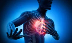 Sintomas de Alzheimer precoce podem surgir a partir dos 30