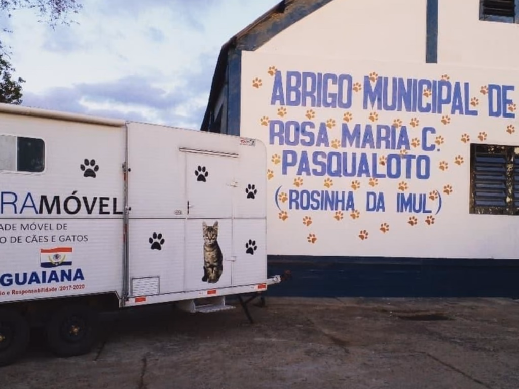 Meio Ambiente busca zerar fila por castrações