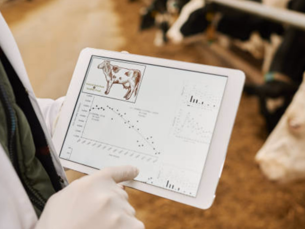 Projeto da Unipampa e Embrapa é destaque na NVIDIA