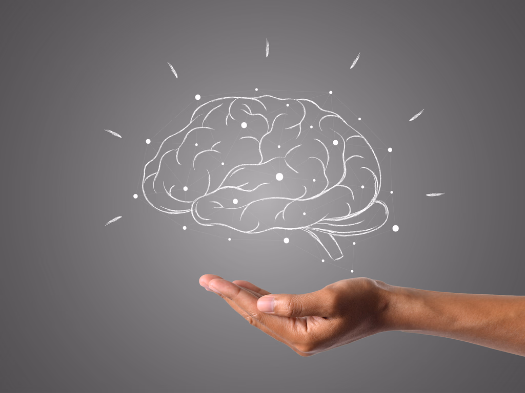 XII Curso de Neurociência está com inscrições abertas