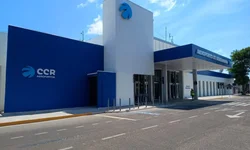 Uruguaiana sedia classificatória para Morfologia