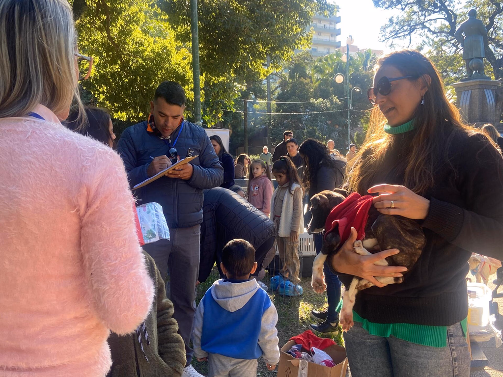 Mais de 30 cães já encontraram um lar por meio de ação da Semas