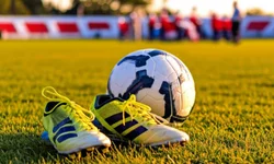 Fenagen Promebo valoriza genética bovina de elite e movimenta negócios