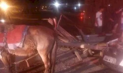 IGP receberá novos equipamentos para a perícia