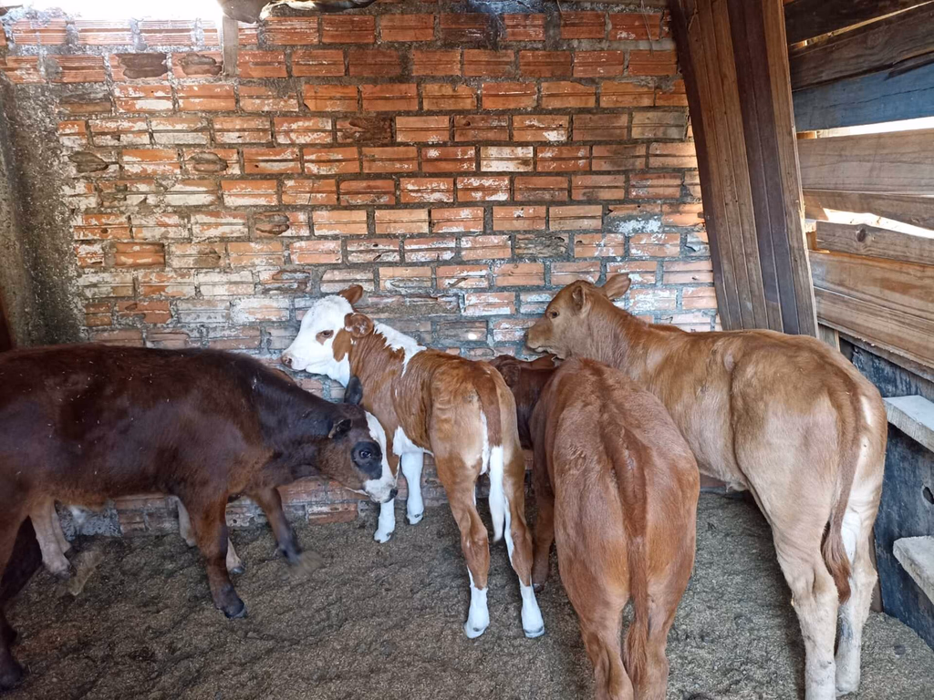 Suspeito de integrar grupo de abigeatários é preso