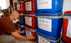 Unipampa realiza 500 testes para o estudo sobre o coronavírus