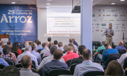 Preços da carne caem em janeiro