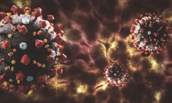 Iniciadas as atividades da Patrulha Agrícola