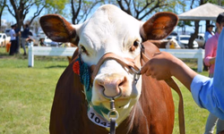 Grêmio aprimora técnica e aproximação no CT Luiz Carvalho