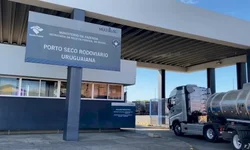 Iniciada nova organização de imunização contra a covid