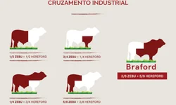 Farsul divulga parecer orientando sobre pagamento do ITR