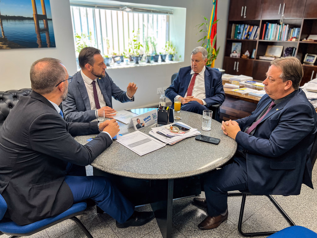 Deputados gaúchos entregam relatório de impactos aos senadores do RS