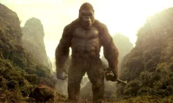 Colibri Matrero e Gabriel Marty são tricampeões