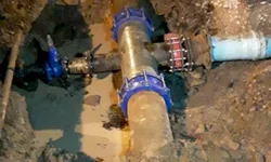 Diagnóstico revela redução da população de Uruguaiana