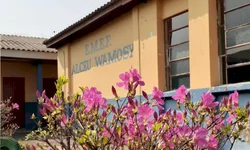 Professor dá dica para candidatos