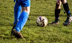 Final do Freio do Proprietário, Inclusão de Ouro e Guasqueiros será retomada em fevereiro