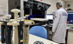 Fiscalização retira mais de 20 cavalos soltos nas vias da cidade