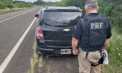 Duas pessoas encaminhadas à Delegacia por crime ambiental