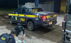 Polícia realiza operação de combate ao estupro e pornografia infantil