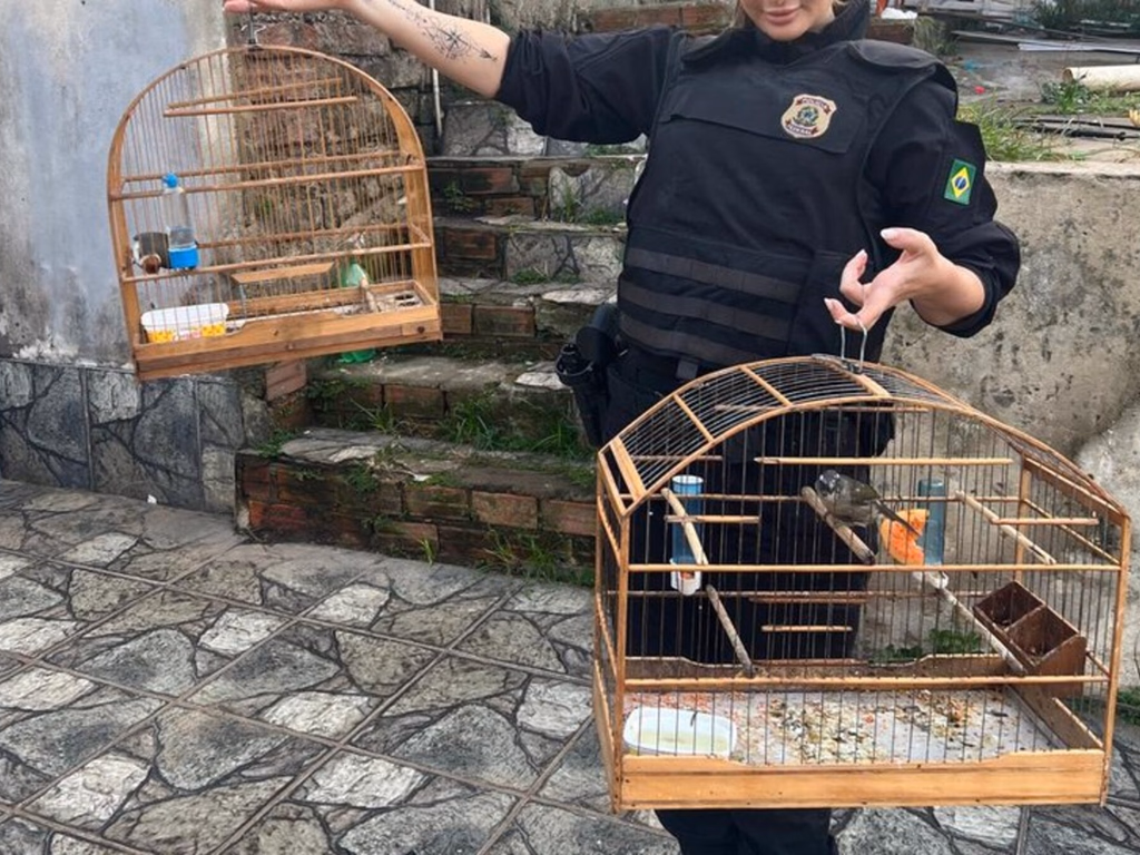 Operação da Polícia Federal combate tráfico internacional de animais