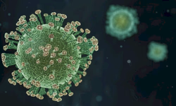 Campanha chama atenção para a importância da amamentação