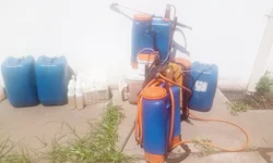 Suspeito de exploração sexual é preso por coação