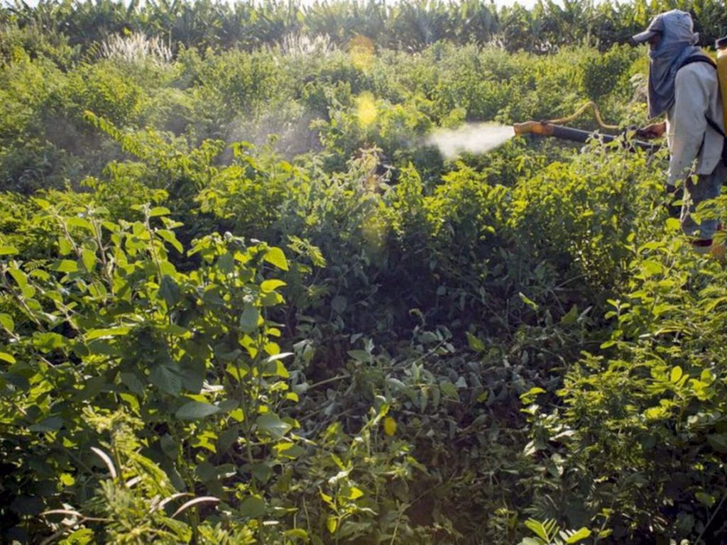 Deputados aprovam PL que facilita entrada de agrotóxicos no Brasil