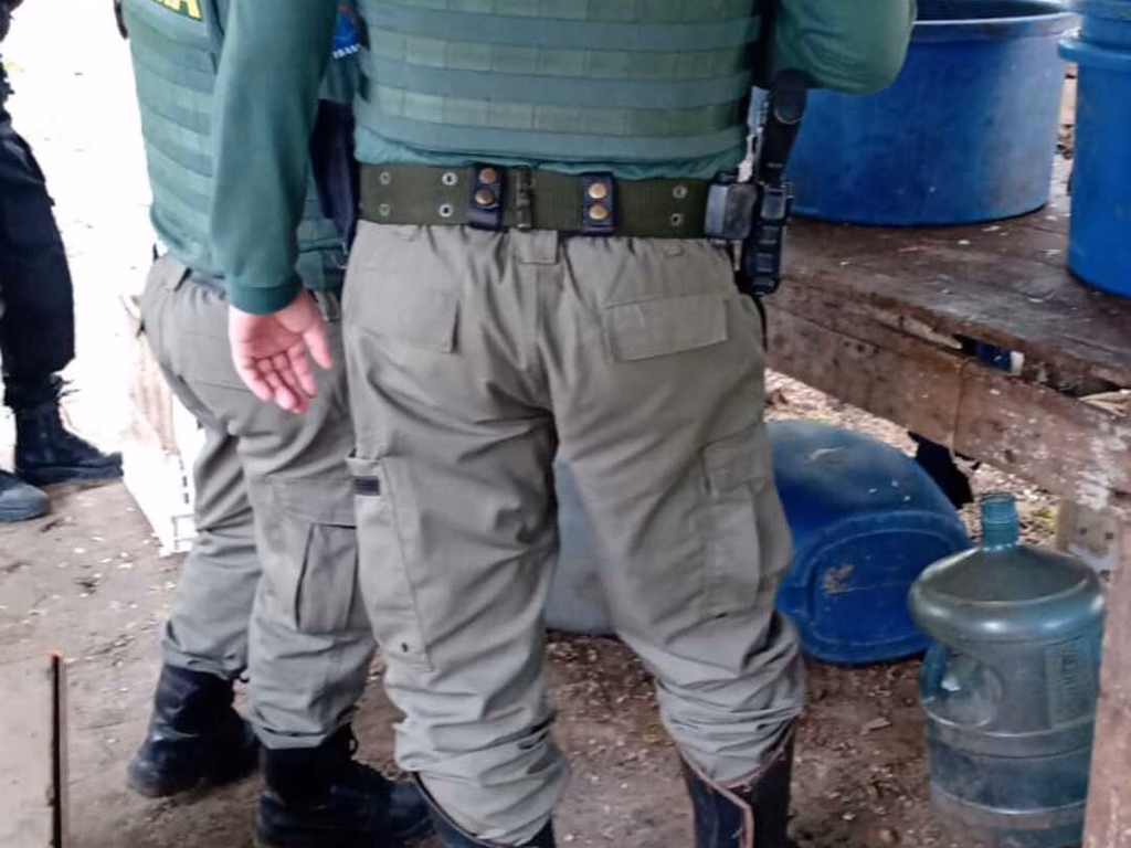 PF, Ibama e Vigilância Sanitária apreendem quase dez toneladas de peixe