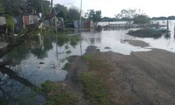 Cooperativa de Uruguaiana entrega mais de 16 mil kg de doações