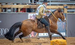 Promebo e Sebrae subsidiarão testes de genômica e ultrassonografia de carcaça