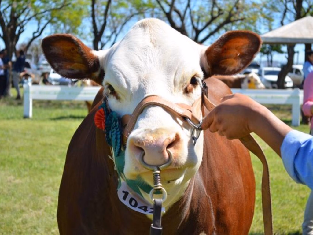 Calendário oficial de 2019 já tem exposições confirmadas