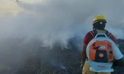 Mãe é suspeita de embriagar criança de sete anos