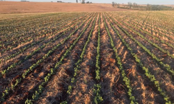 Top Farmers 2018 será em dezembro