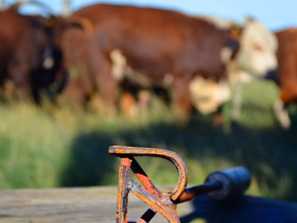 Abertas inscrições para a PAC HB 2018/2019