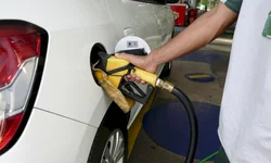 Lei irá regular transições de governo no Estado